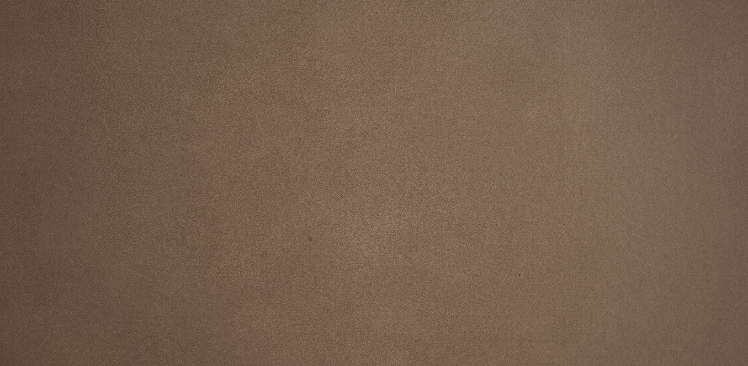 Solid brown textured background surface.
